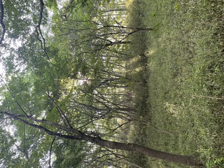 夏も近づいてきましたね！